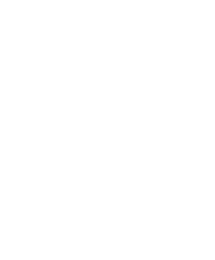 FIRB BOARD